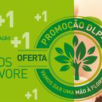 Campanha Legrand | Rolear Mais